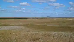 степи Житикаринского района