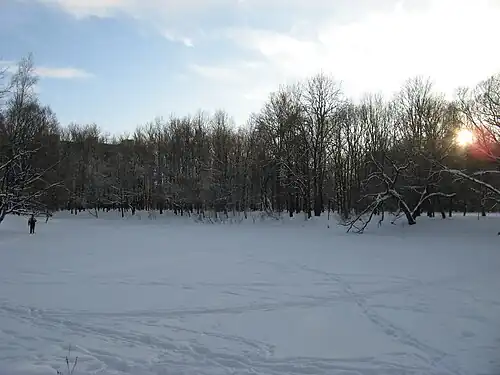 Катание на лыжах в парке по замерзшему большому верхнему озеру (февраль 2018 г.)