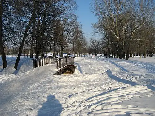 Вид на аллею и мостик в Демидовском парке у нижнего пруда (февраль 2011 г.).