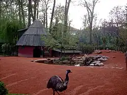 В отделе Океании