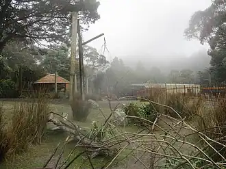 На территории зоопарка