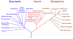Эволюция23 мая 2012