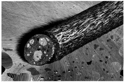 «Колбаса», Пеэтер Аллик. 2010