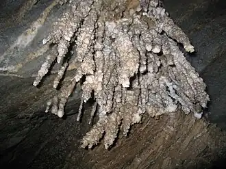 Галит (Halite flowers)