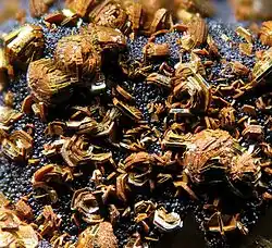 Лепидокрокит