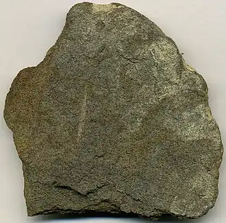 Тасманит (сланец)