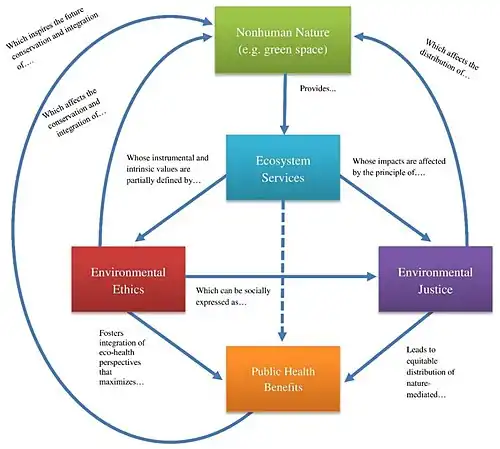 Conceptual map illustrating the connections from and to environmental health.