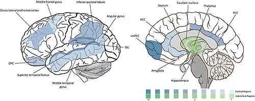 Figure 2. Diagram of brain regions