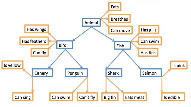 Figure 1 – The Hierarchical Model (adapted from Collin’s and Quillian (1969))