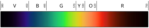 sRGB rendering of the spectrum of visible light