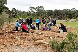 Figure 1. Environmental volunteers planting trees.