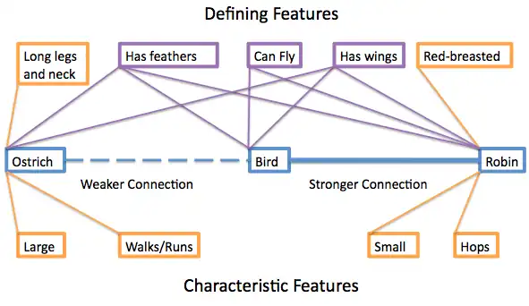 Figure 2 – The Semantic Features Model (adapted from Smith et al., 1974))