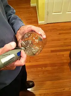 Step 7: Drilled holes in the bottom of the bottles.