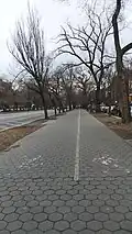 Велосипедные и пешеходные дорожки вдоль Eastern Parkway, Brooklyn